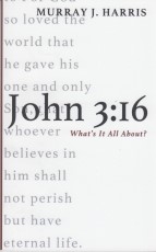 John 3:16 - What's It All About?