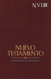 Nuevo Testamento - NVI