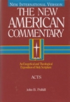 Acts - The New American Commentary