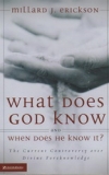 What Does God Know and When Does He Know It?: The Current Controversy Over Divin